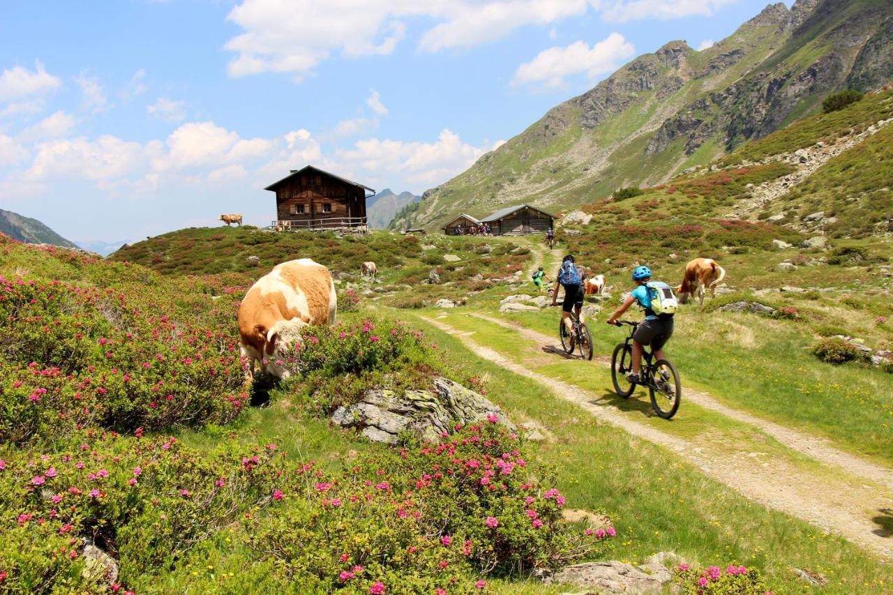Rohrmooser Schloessl Schladming Extérieur photo